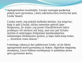 Liudo Vasario ir Liucės santykiai Vinco Mykolaičio Putino romane 13 puslapis