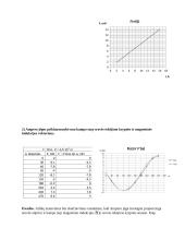 Ampero jėgos matavimai 2 puslapis
