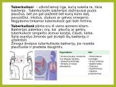 Tuberkuliozė ir karantinas 2 puslapis