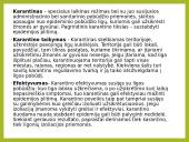 Tuberkuliozė ir karantinas 11 puslapis