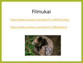 Tuberkuliozė ir karantinas 14 puslapis