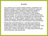 Tuberkuliozė ir karantinas 19 puslapis