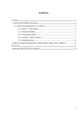 Verslo įmonių makroaplinka marketingo tyrime 2 puslapis