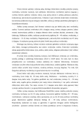 Verslo įmonių makroaplinka marketingo tyrime 11 puslapis