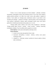 Verslo įmonių makroaplinka marketingo tyrime 3 puslapis