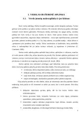 Verslo įmonių makroaplinka marketingo tyrime 4 puslapis