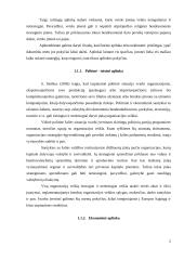 Verslo įmonių makroaplinka marketingo tyrime 5 puslapis