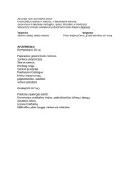 Europos visuomenės formavimas (iki XV a. pabaigos) 5 puslapis