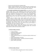 Verslo organizavimo formos. Jų pranašumai ir trūkumai 6 puslapis