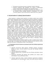 Verslo organizavimo formos. Jų pranašumai ir trūkumai 7 puslapis