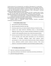 Verslo organizavimo formos. Jų pranašumai ir trūkumai 9 puslapis