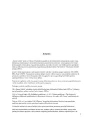 AB "Kauno Grūdai" įmonės analizė 2 puslapis