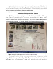 UAB „Kauno vandenys“ praktikos ataskaita 3 puslapis