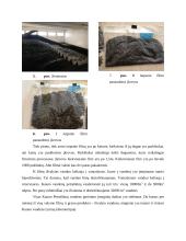 UAB „Kauno vandenys“ praktikos ataskaita 5 puslapis