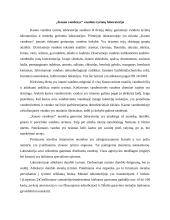 UAB „Kauno vandenys“ praktikos ataskaita 6 puslapis