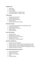 Teisiniai santykiai - teorija 2 puslapis