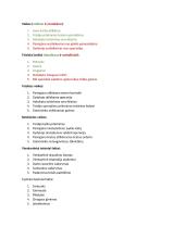 Teisiniai santykiai - teorija 3 puslapis