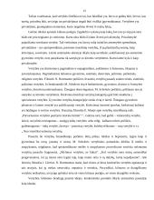 Vertybės ir pareigos. Vertybių rūšys ir hierarchija 13 puslapis