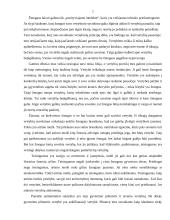 Vertybės ir pareigos. Vertybių rūšys ir hierarchija 7 puslapis