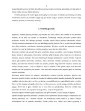 Vertybės ir pareigos. Vertybių rūšys ir hierarchija 8 puslapis