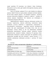 Vertybinių popierių rinkos padėtis Lietuvoje 9 puslapis