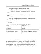 Vertybinių popierių rinkos padėtis Lietuvoje 10 puslapis