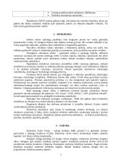 Siuvimo įmonės verslo planas 5 puslapis