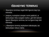 Darbo sutarties teisinis reglamentavimas 11 puslapis