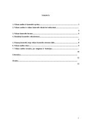 Vidaus audito ir vidaus kontrolės samprata, tikslai ir uždaviniai 2 puslapis