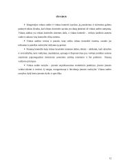 Vidaus audito ir vidaus kontrolės samprata, tikslai ir uždaviniai 12 puslapis