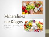 Mineralinės medžiagos, makroelementai ir mikroelementai