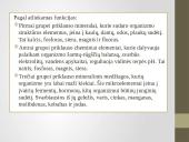 Mineralinės medžiagos, makroelementai ir mikroelementai 7 puslapis