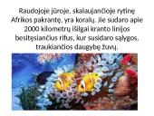 Afrika - antrasis pagal dydį žemynas 11 puslapis