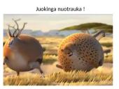 Afrika - antrasis pagal dydį žemynas 15 puslapis