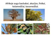 Afrika - antrasis pagal dydį žemynas 6 puslapis