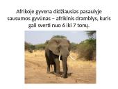 Afrika - antrasis pagal dydį žemynas 7 puslapis