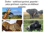 Afrika - antrasis pagal dydį žemynas 8 puslapis
