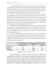 Viešbučių verslas Lietuvoje 13 puslapis