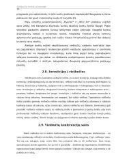 Viešbučių verslas Lietuvoje 14 puslapis