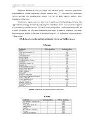 Viešbučių verslas Lietuvoje 15 puslapis