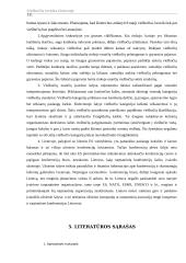 Viešbučių verslas Lietuvoje 18 puslapis