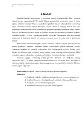 Viešbučių verslas Lietuvoje 3 puslapis