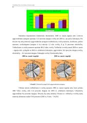 Viešbučių verslas Lietuvoje 6 puslapis
