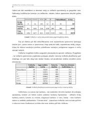 Viešbučių verslas Lietuvoje 8 puslapis