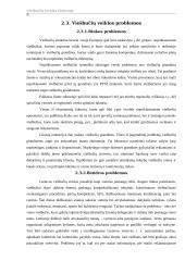 Viešbučių verslas Lietuvoje 9 puslapis