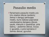 Pasaulio medis lietuvių tautosakoje ir etnografijoje 2 puslapis