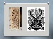 Pasaulio medis lietuvių tautosakoje ir etnografijoje 5 puslapis