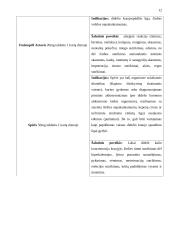 Praktikos ataskaita. Gerontologinio tyrimo ir rekomendacijų planas 13 puslapis