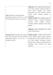 Praktikos ataskaita. Gerontologinio tyrimo ir rekomendacijų planas 15 puslapis