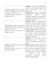 Praktikos ataskaita. Gerontologinio tyrimo ir rekomendacijų planas 17 puslapis